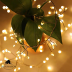 LedTwine Lights – Enchanting Lighting, Endless Imagination