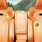 Multi-purpose foam cleaner
