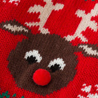 Warm Christmas clothing for pets