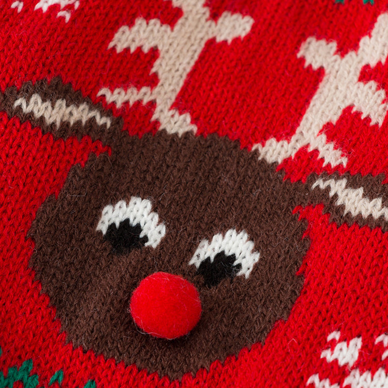 Warm Christmas clothing for pets