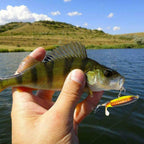 Fishing bait with propeller tractor