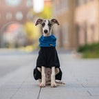 Full Protection Polar Fleece Dog Overall with Removable Collar