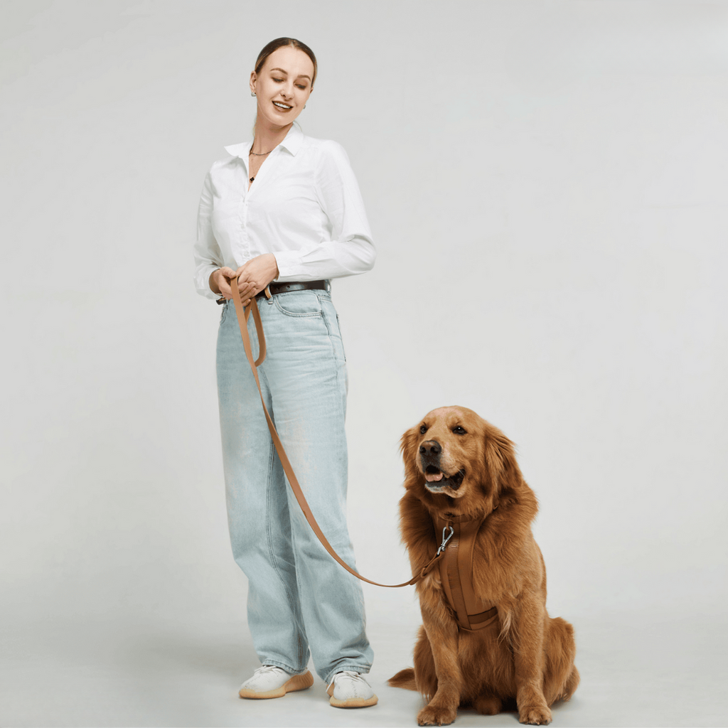 ComfyPaws Dog Harness Walking Set with Leash and Poop Bag Holder