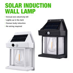 Solar Wolfram Wall Light