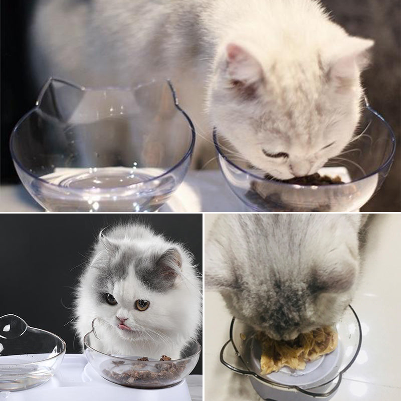 Feeding bowl for cats