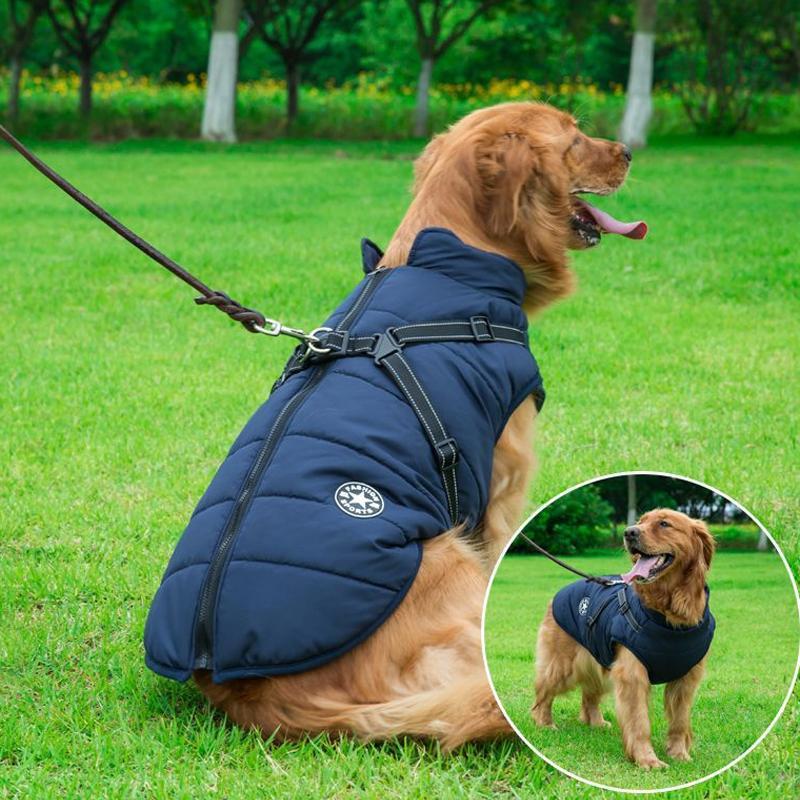 Winter coat with zipper for dogs