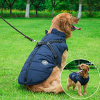 Winter coat with zipper for dogs