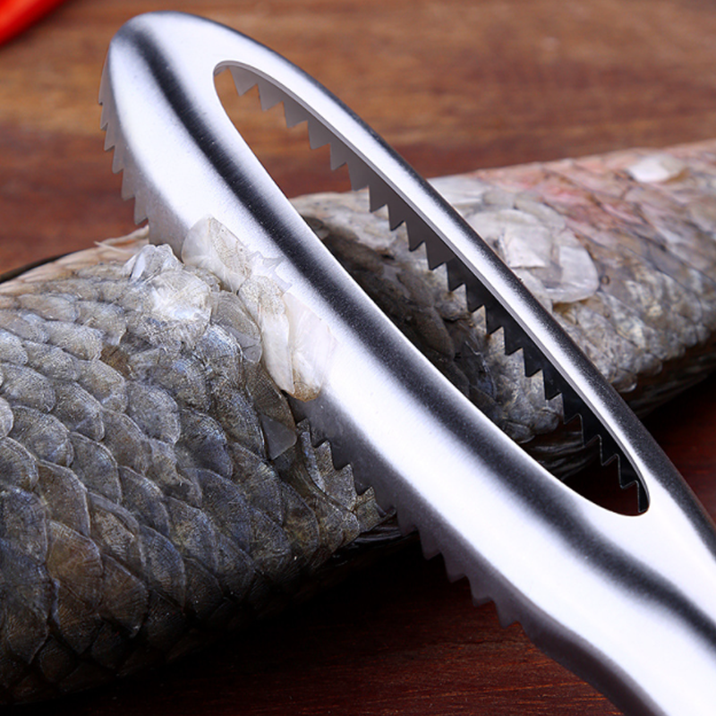 Stainless Steel Fish Scales Scraper