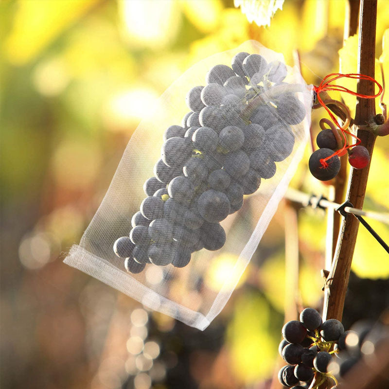Nylon Fruit Exclusion Bags (100 pcs)