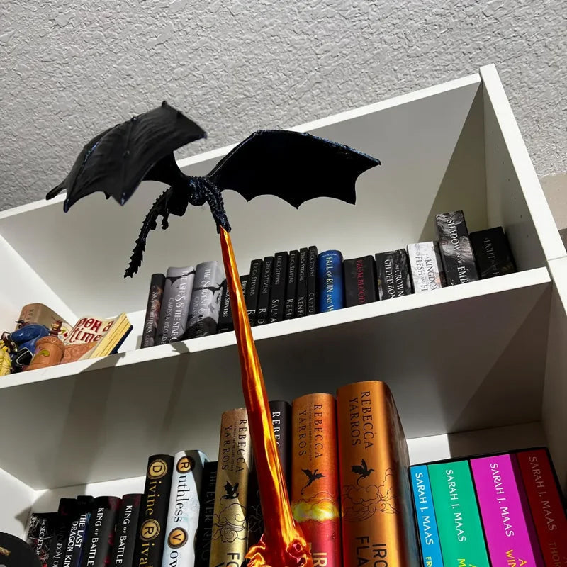 Dragon Flame Book Niche