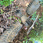 Garden Art-Bird Patio Decor
