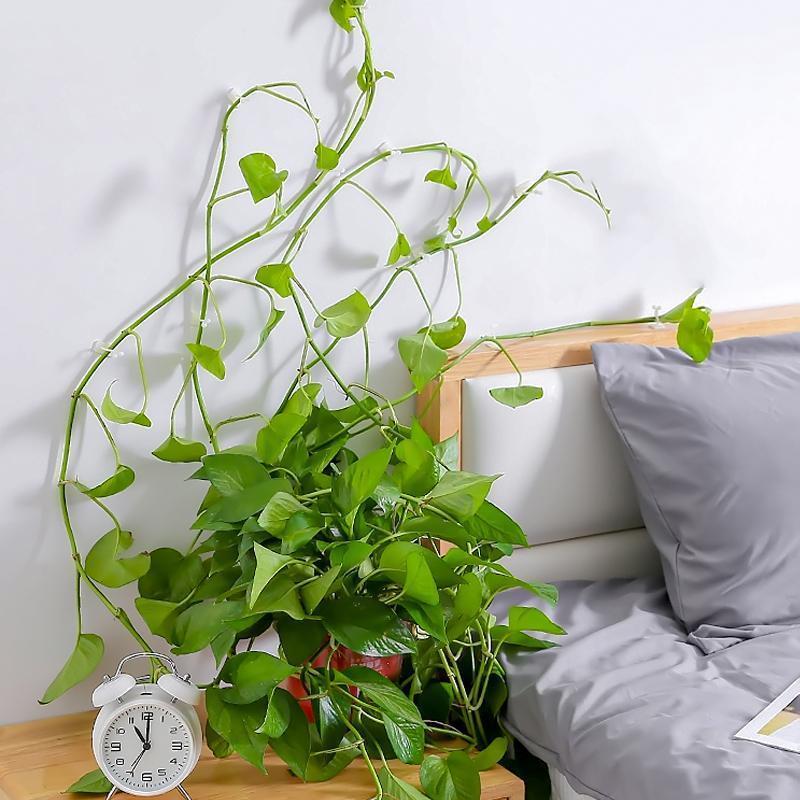 Wall clips for climbing plants (30 pieces)
