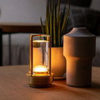Outdoor LED Garden Globe Light
