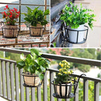 Hanging Window Flower Basket