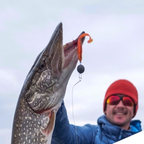 Rubber fish with multiple segments