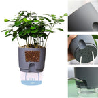 Self-watering Hydro-Flower Pot