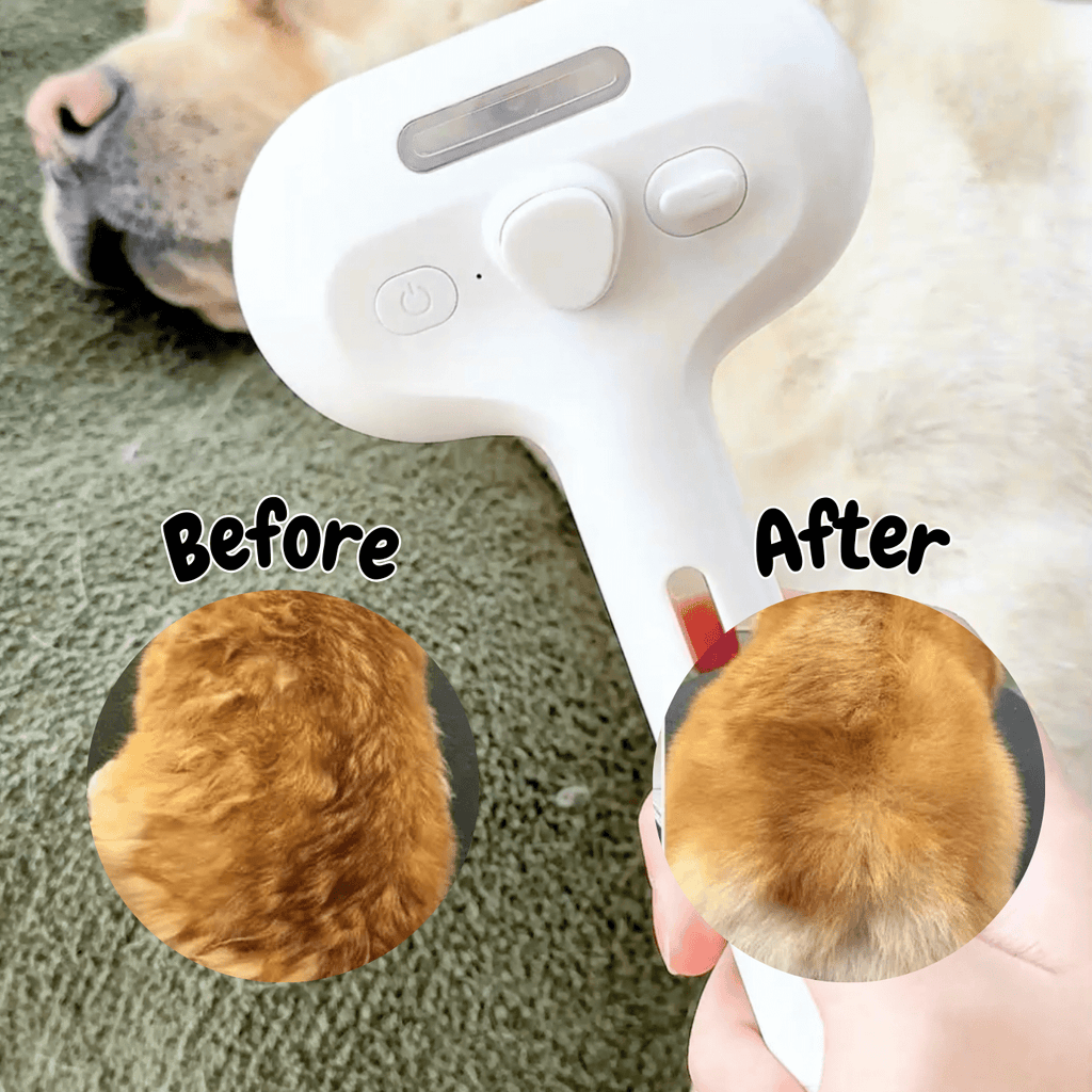 DampfVacht Steam Brush – Gentle Care for Every Dog Coat