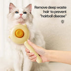 Pet Comb Brush