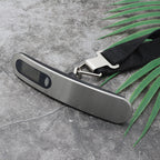 Portable electronic hook scale