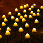 LED Solar String Lights Ground Stake Mushroom Lights