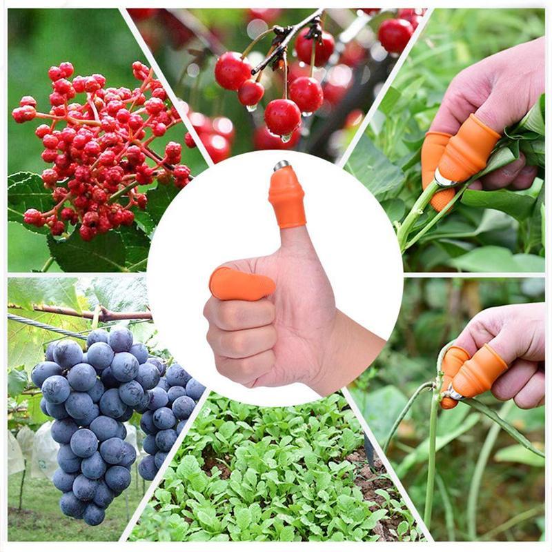 (50% Off Today) Harvest vegetables, harvest fruits thumb measure
