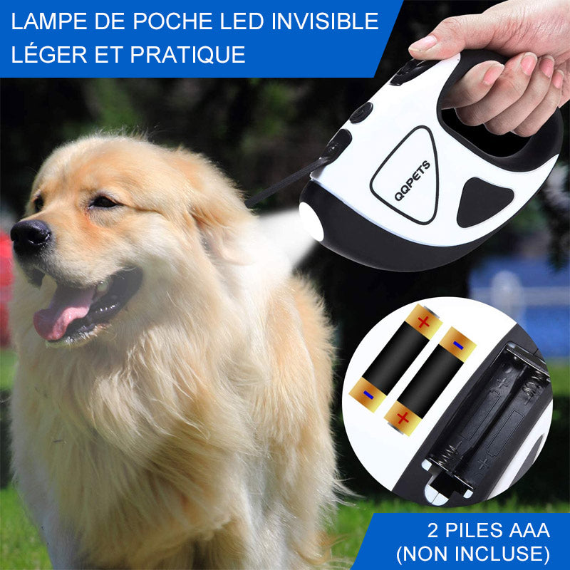 LED Leash for Pets retractable