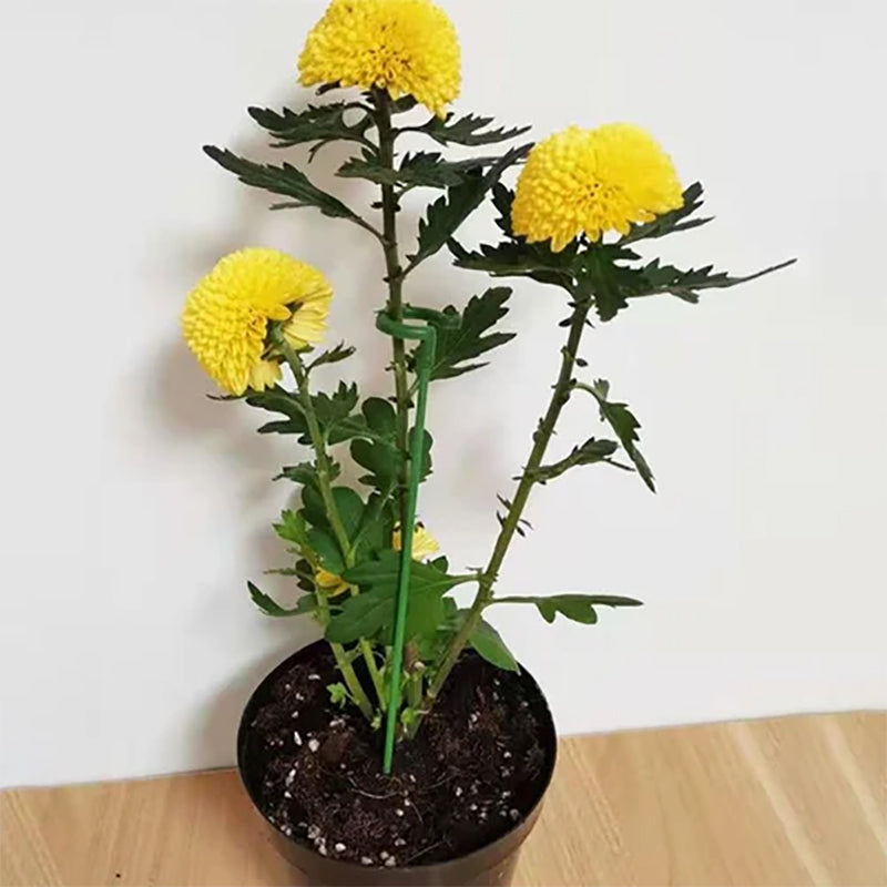 Plant Supports Stake