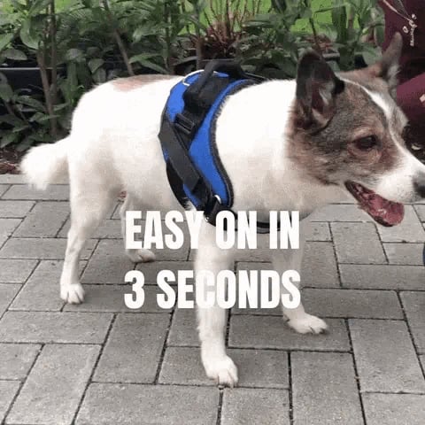 Anti Choke Dog Harness