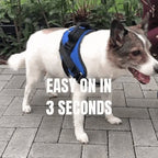Anti Choke Dog Harness