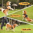 mamymarket™ - Dog Harness and Retractable Leash Set All-in-One