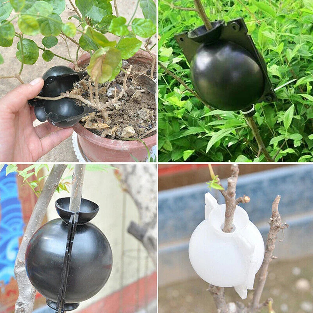 Plant protection balls for roots – Protective caps for safe replanting and growth