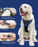 mamymarket™ - Dog Harness and Retractable Leash Set All-in-One