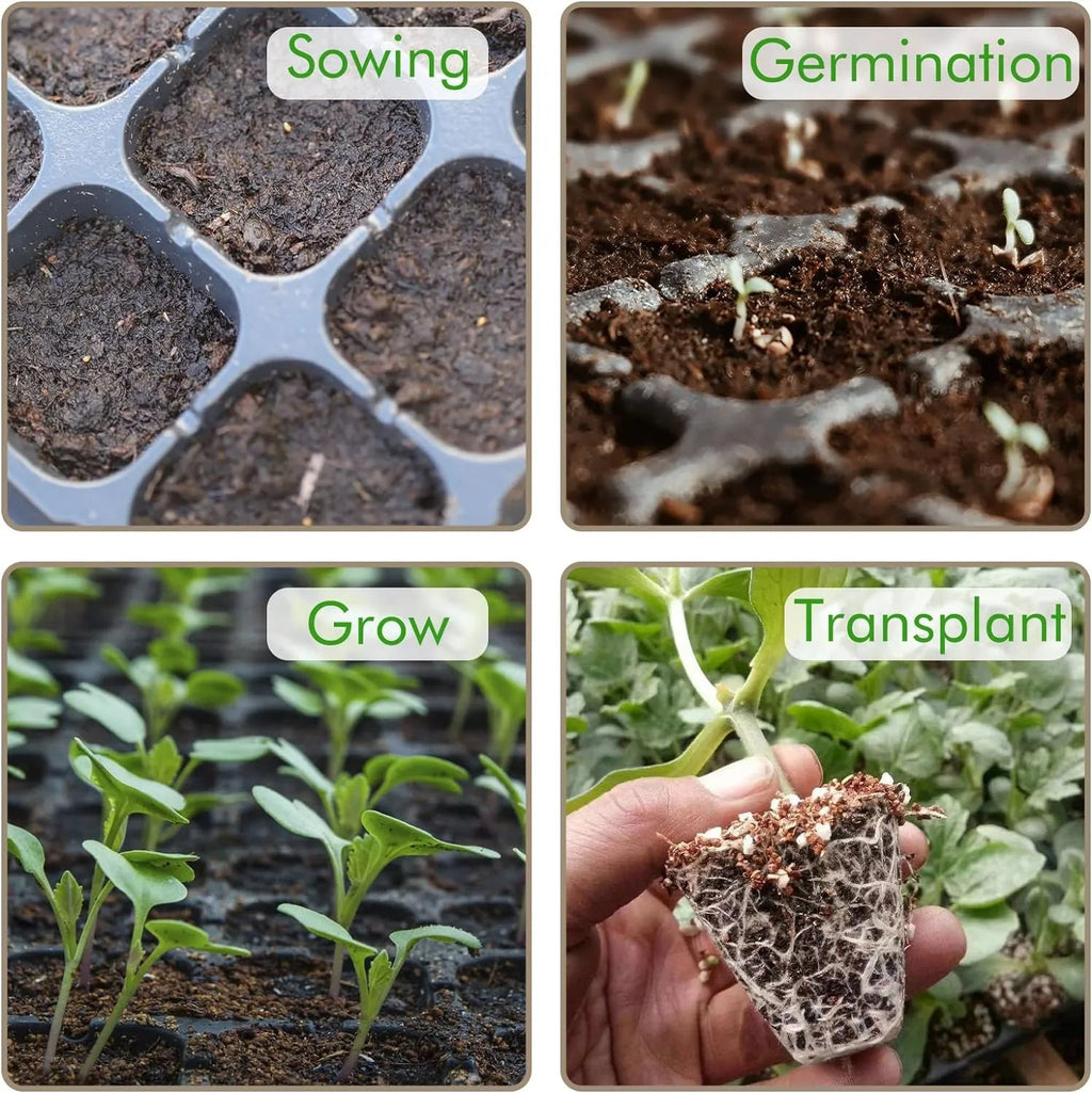 Rectangular Plant Bowl – Seedling Tray for Efficient Germination and Growth of Seedlings
