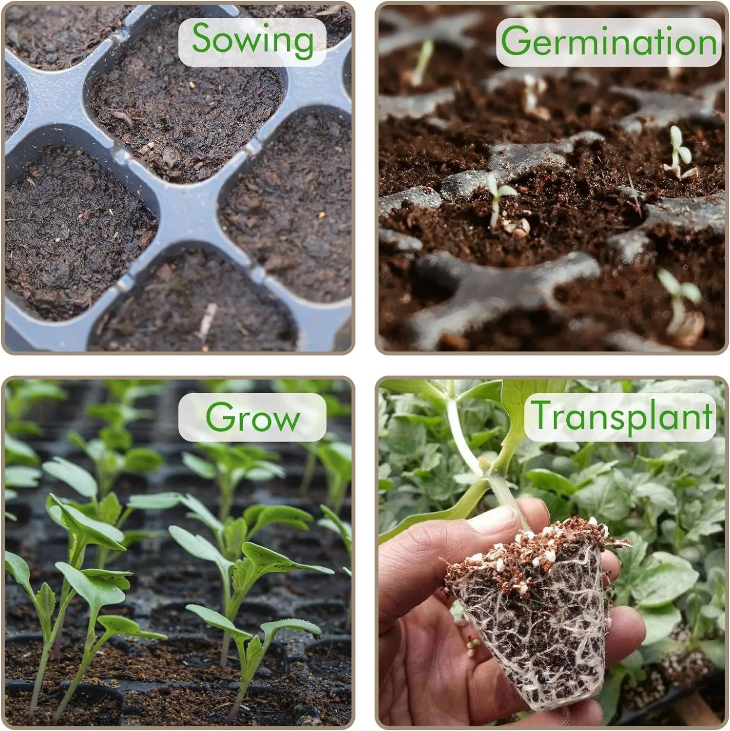 Rectangular Plant Bowl – Seedling Tray for Efficient Germination and Growth of Seedlings