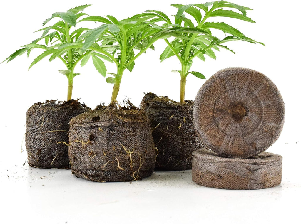 Coconut Fiber Peat Seedling Pellets – Starter for Seed Planting