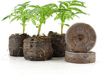 Coconut Fiber Peat Seedling Pellets – Starter for Seed Planting