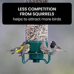 Bird Feeder Hanging Metal Squirrel Proof Tube