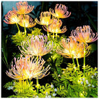BloomShine - Solar Fairy Blossom Light