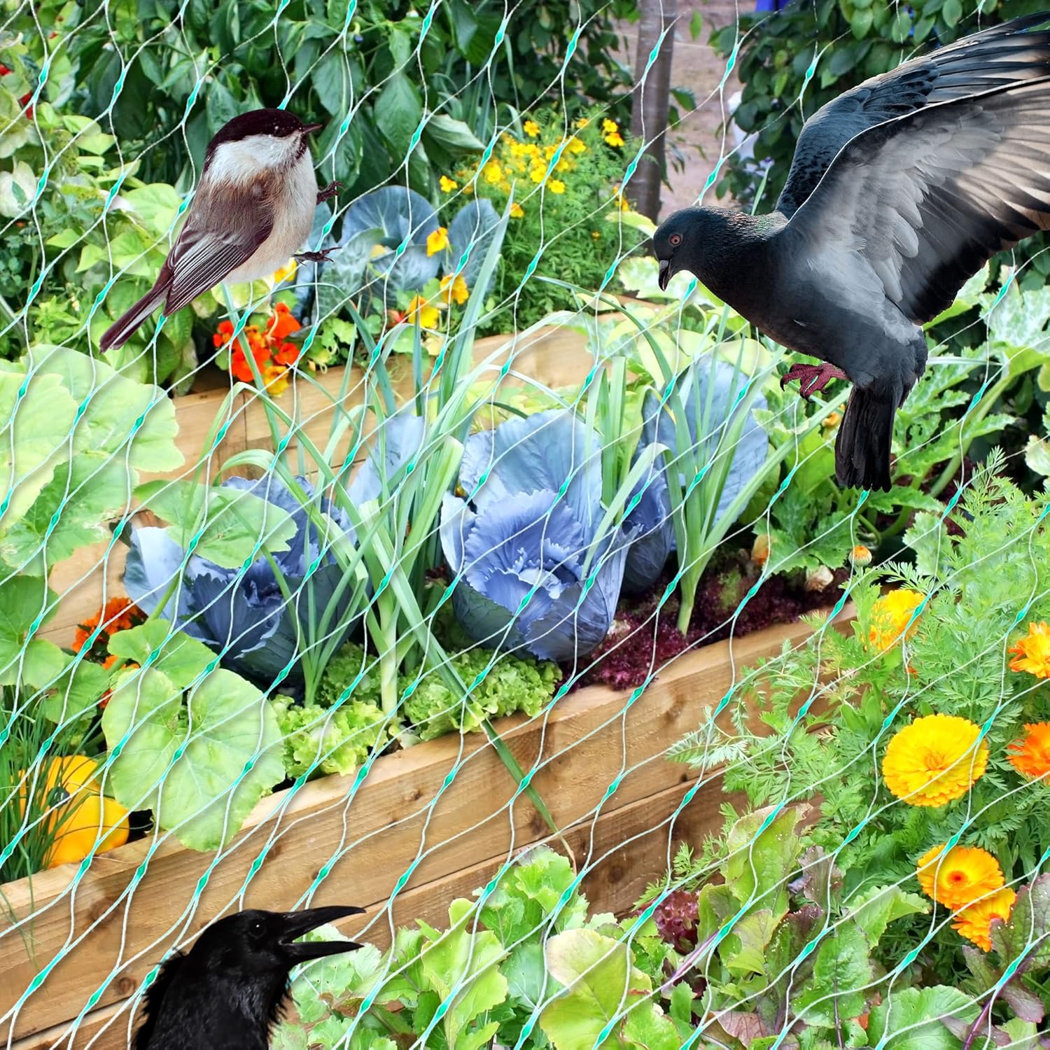 Protective net for garden plants – Green net against pests and animals