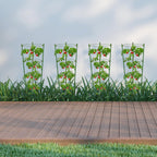 Climbing frame for plants – Sturdy support ring frame for climbing plants