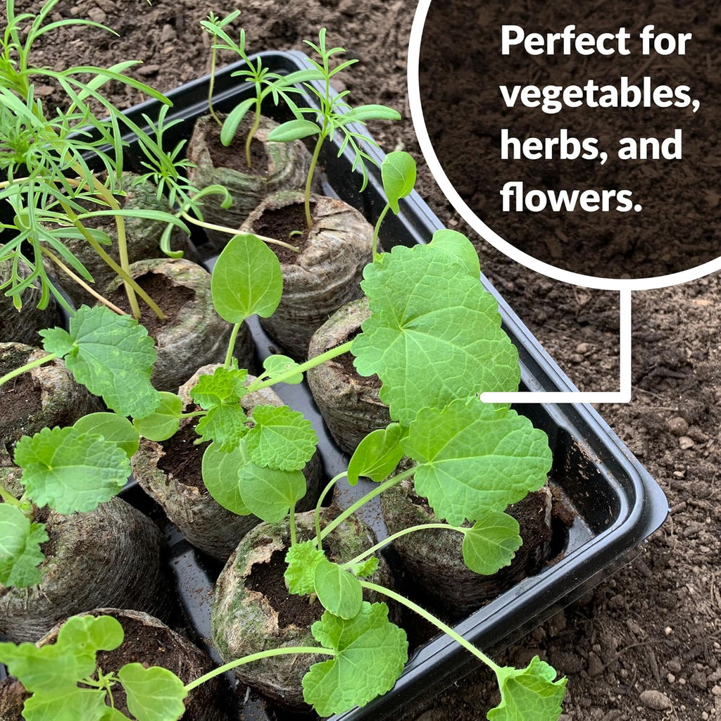 Coconut Fiber Peat Seedling Pellets – Starter for Seed Planting
