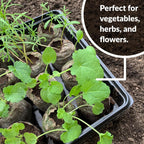 Coconut Fiber Peat Seedling Pellets – Starter for Seed Planting