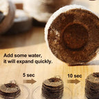 Coconut Fiber Peat Seedling Pellets – Starter for Seed Planting