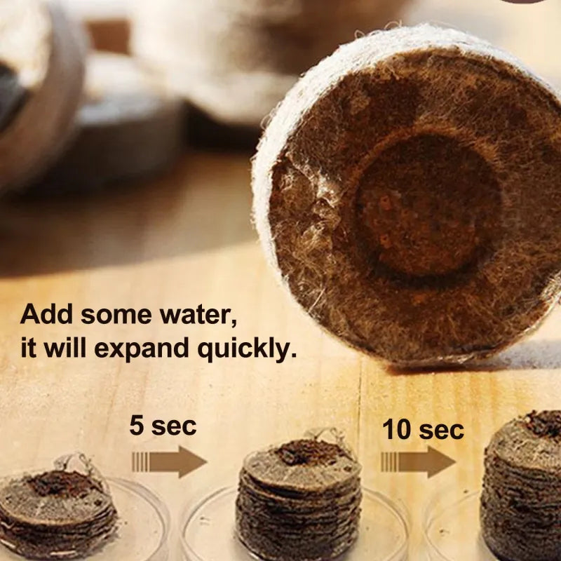 Coconut Fiber Peat Seedling Pellets – Starter for Seed Planting