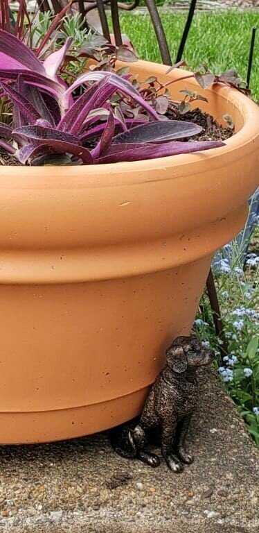 PotStand Healthy Root Support
