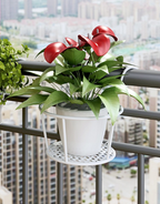 GrünMeister — Showcase your green paradise stylishly without drilling or rust!