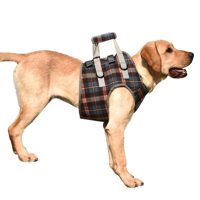 Orthopedic Strap for Hind Legs