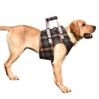 Orthopedic Strap for Hind Legs