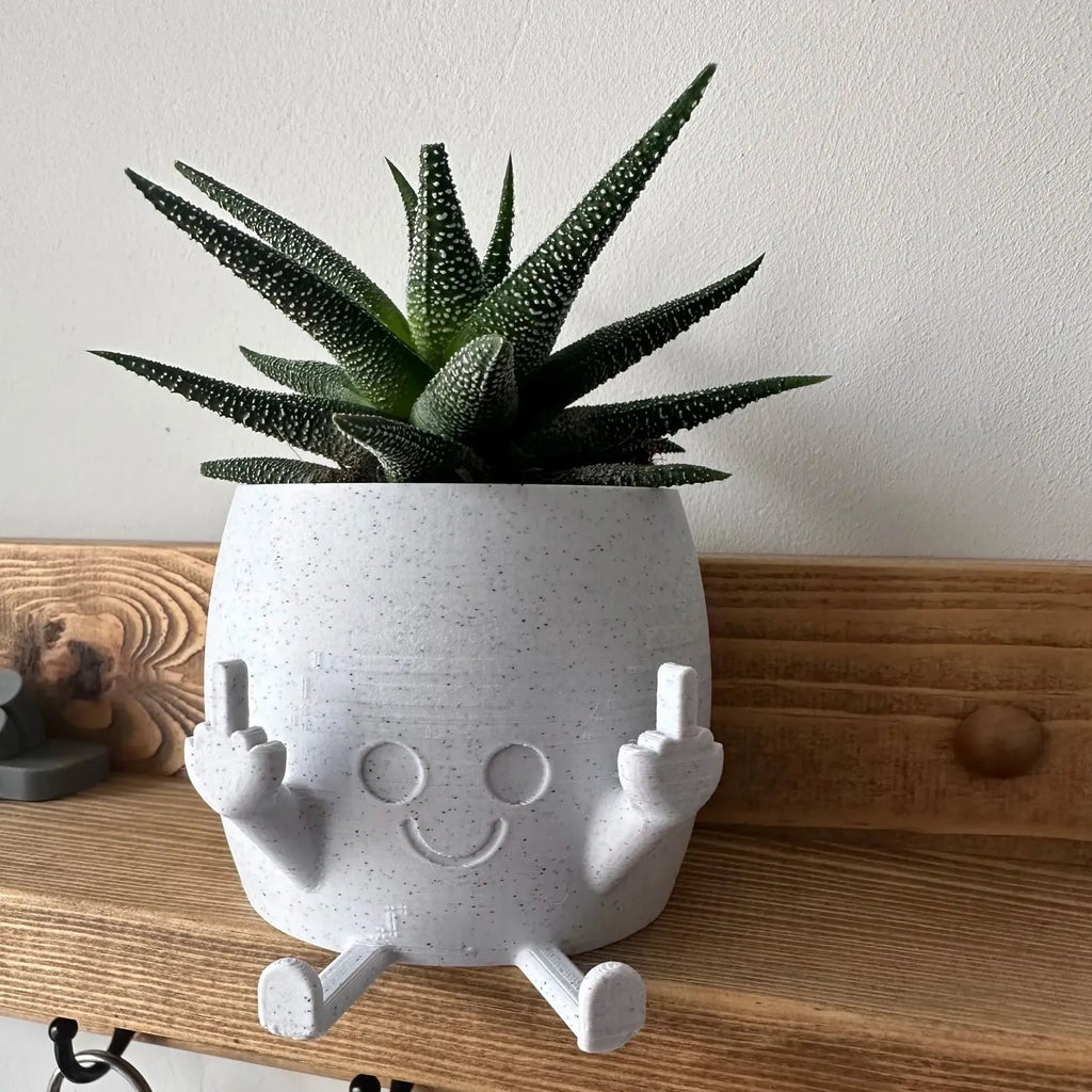 Smiling Plant Pot with Middle Fingers Up