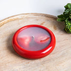 FreshLock Pro — Keep every bite full of freshness and say goodbye to food waste!